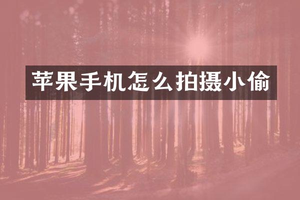 苹果手机怎么拍摄小偷
