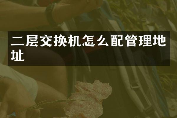 二层交换机怎么配管理地址