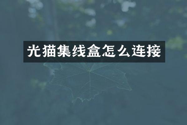 光猫集线盒怎么连接