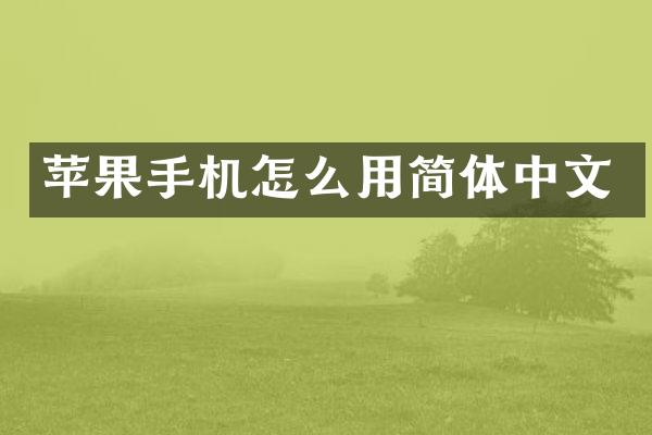 苹果手机怎么用简体中文