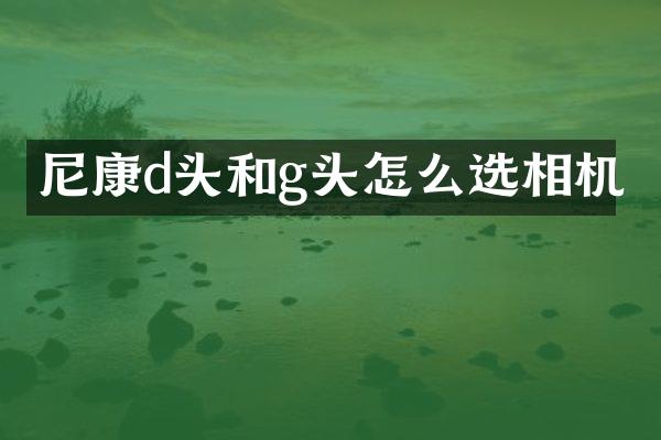 尼康d头和g头怎么选相机