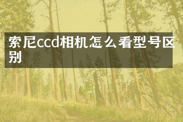 索尼ccd相机怎么看型号区别