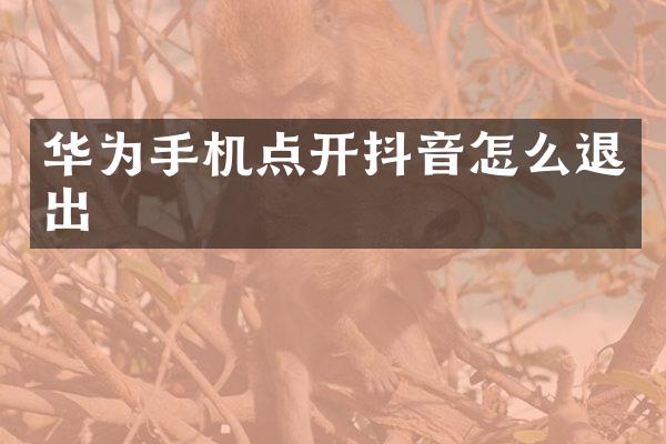华为手机点开抖音怎么退出