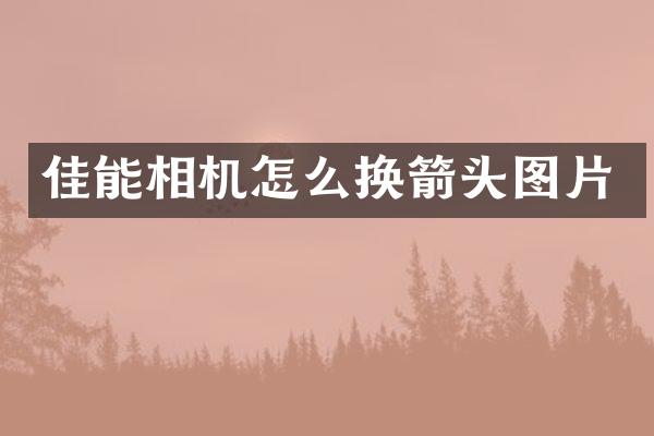佳能相机怎么换箭头图片