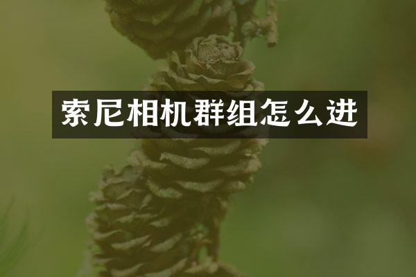 索尼相机群组怎么进