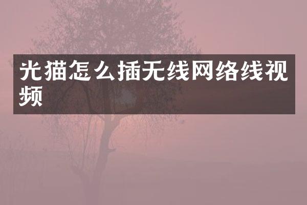 光猫怎么插无线网络线视频