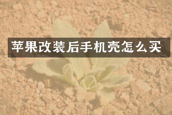 苹果改装后手机壳怎么买