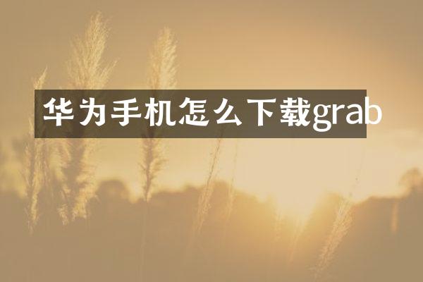 华为手机怎么下载grab