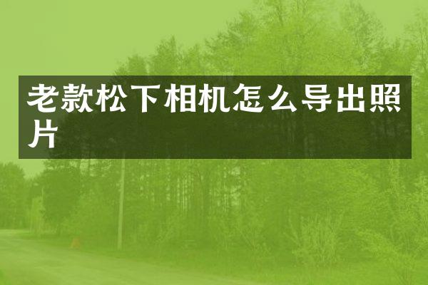 老款松下相机怎么导出照片
