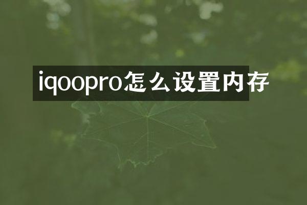 iqoopro怎么设置内存