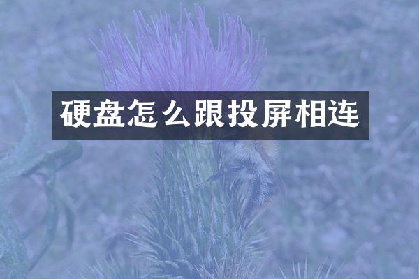 硬盘怎么跟投屏相连