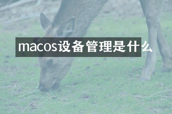 macos设备管理是什么