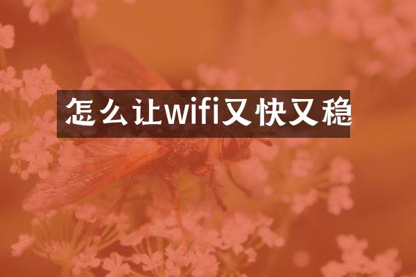 怎么让wifi又快又稳