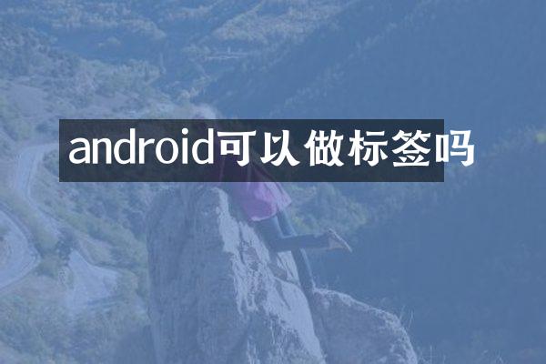 android可以做标签吗