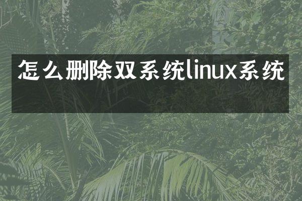 怎么删除双系统linux系统盘