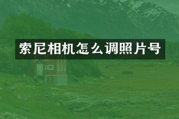 索尼相机怎么调照片号