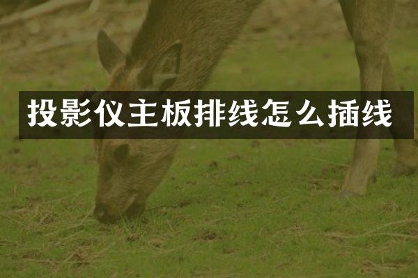 投影仪主板排线怎么插线