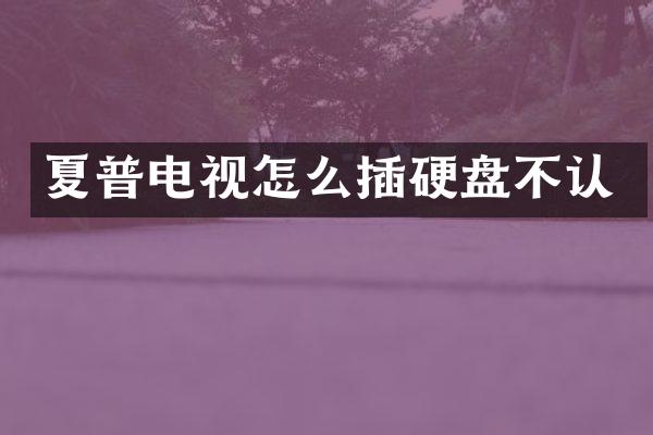 夏普电视怎么插硬盘不认