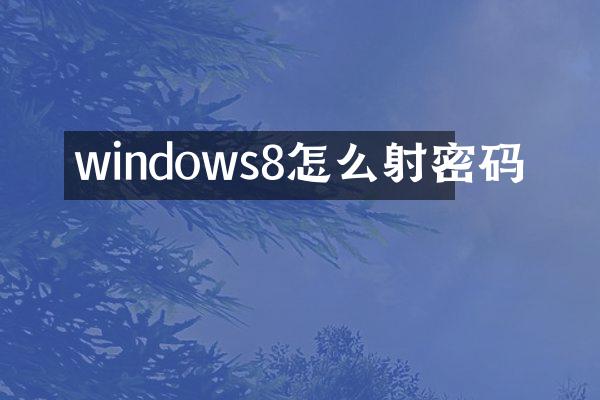 windows8怎么射密码