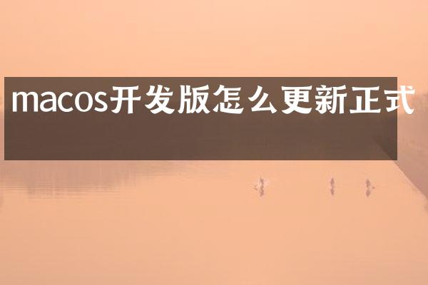 macos开发版怎么更新正式版