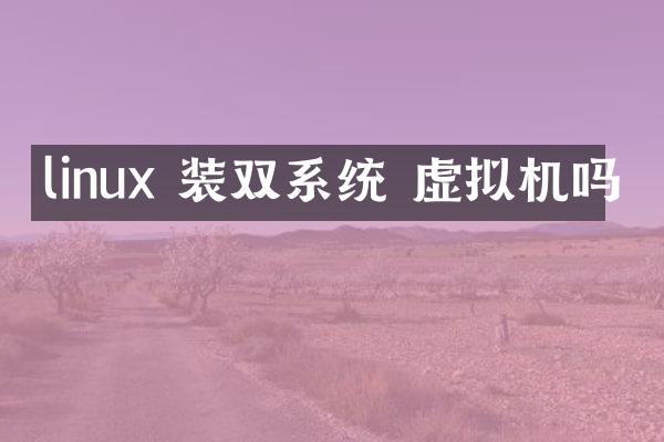 linux 装双系统 虚拟机吗