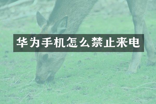 华为手机怎么禁止来电