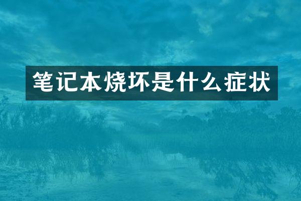 笔记本烧坏是什么症状