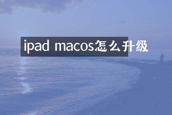 ipad macos怎么升级