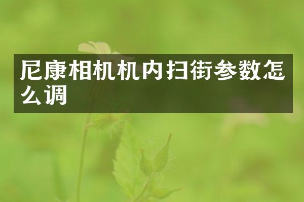 尼康相机机内扫街参数怎么调