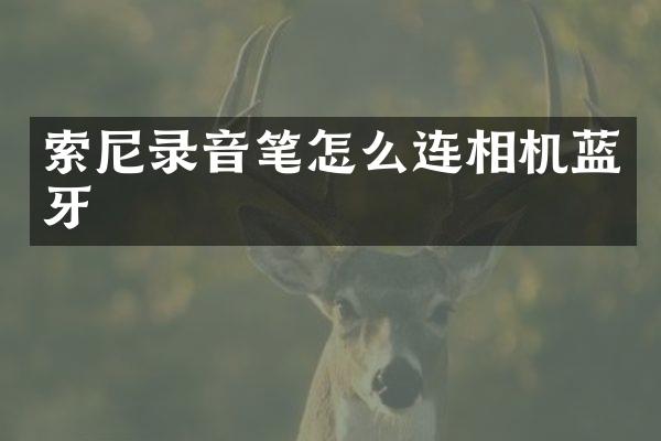 索尼录音笔怎么连相机蓝牙