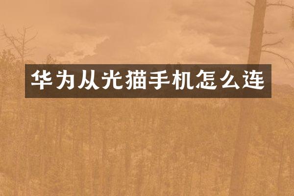 华为从光猫手机怎么连