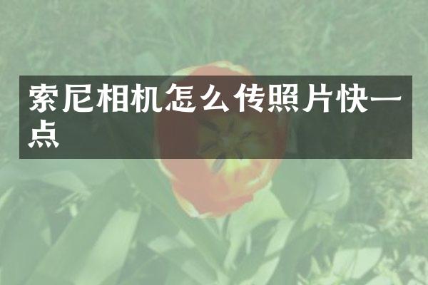 索尼相机怎么传照片快一点