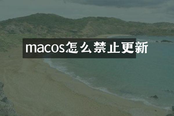 macos怎么禁止更新