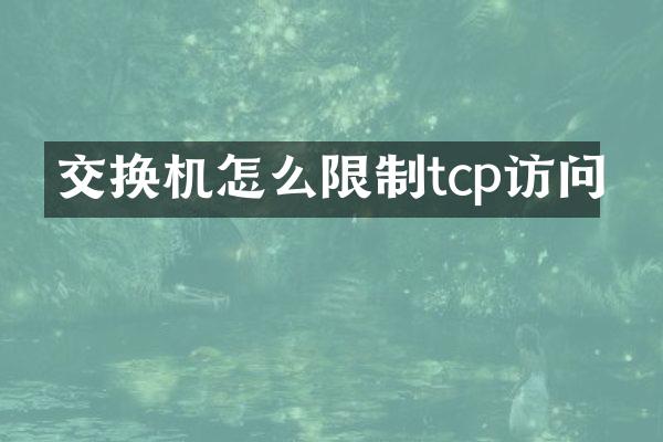 交换机怎么限制tcp访问