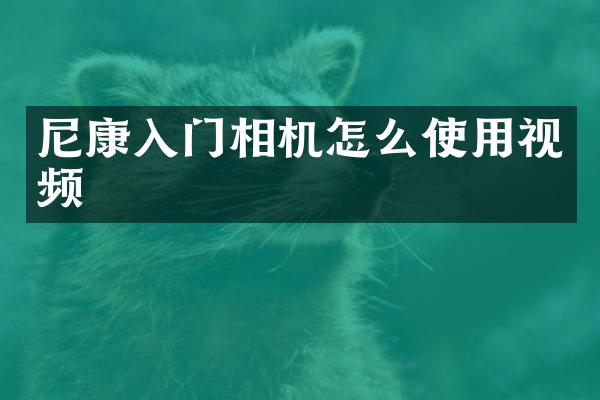 尼康入门相机怎么使用视频