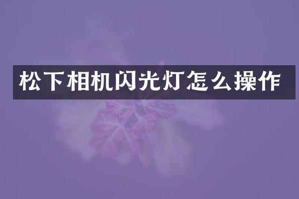 松下相机闪光灯怎么操作