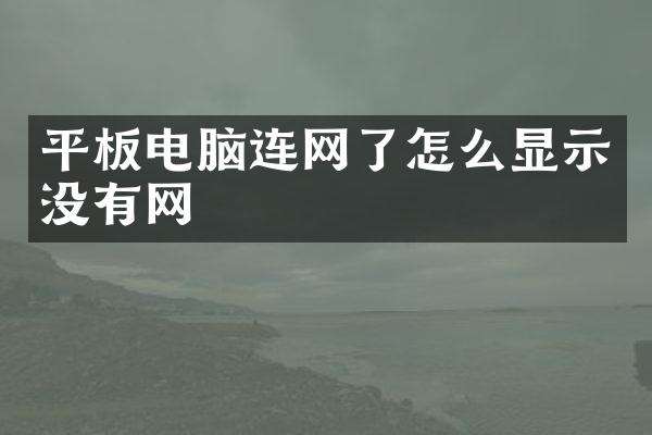 平板电脑连网了怎么显示没有网