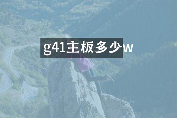 g41主板多少w