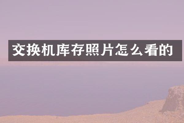 交换机库存照片怎么看的