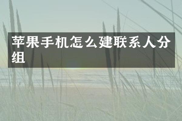 苹果手机怎么建联系人分组
