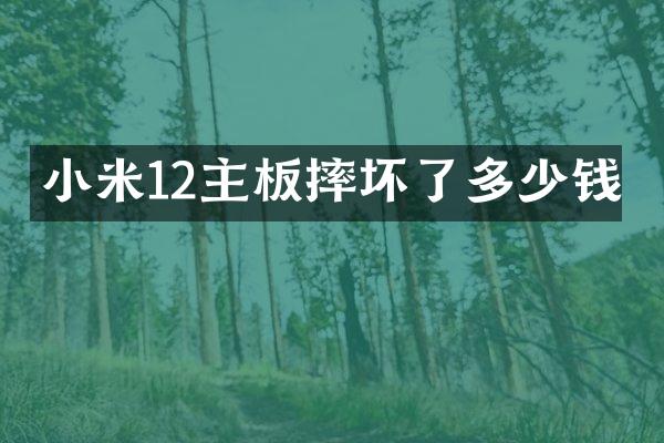 小米12主板摔坏了多少钱
