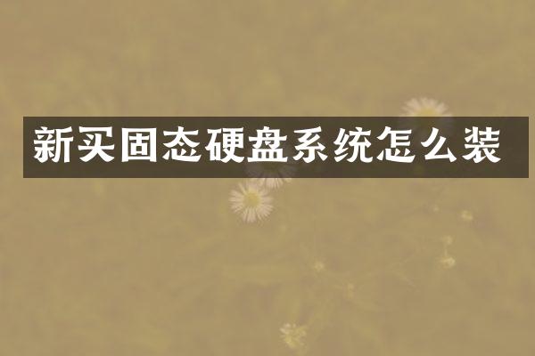 新买固态硬盘系统怎么装