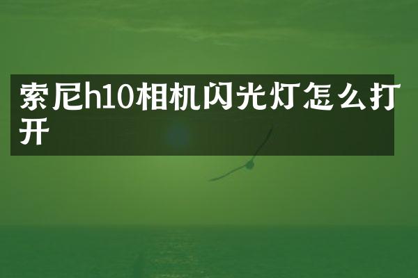 索尼h10相机闪光灯怎么打开