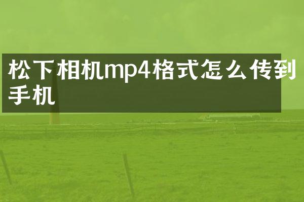 松下相机mp4格式怎么传到手机