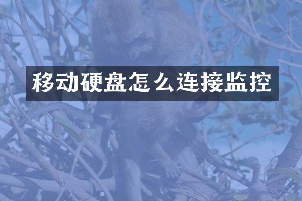 移动硬盘怎么连接监控