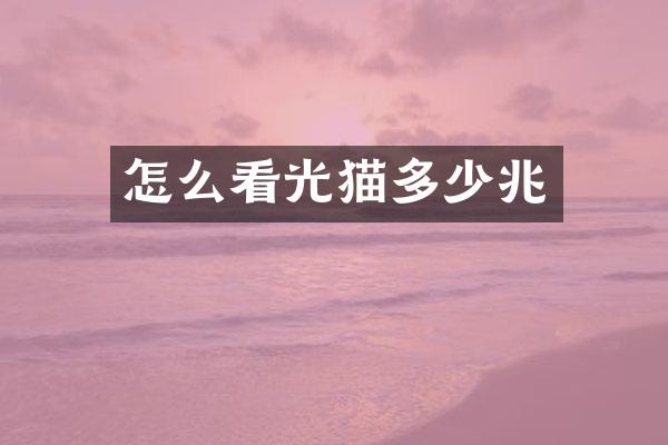 怎么看光猫多少兆