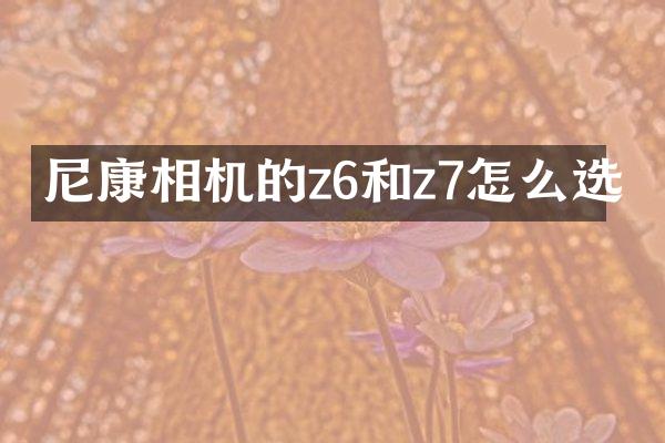 尼康相机的z6和z7怎么选