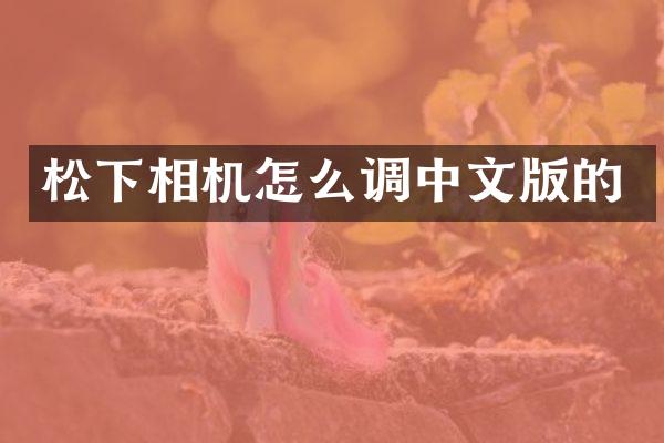 松下相机怎么调中文版的