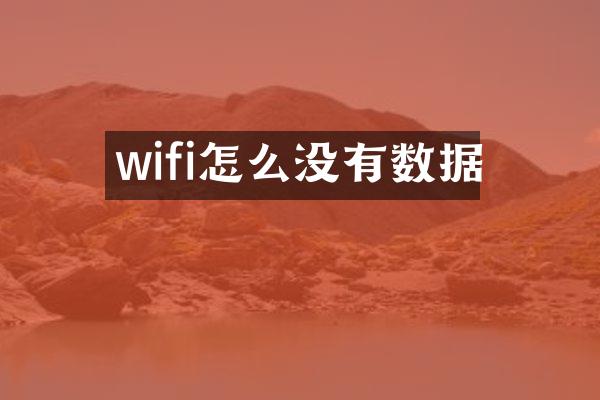 wifi怎么没有数据