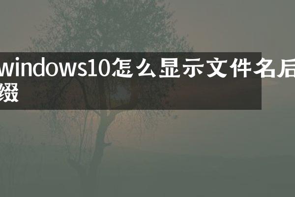 windows10怎么显示文件名后缀